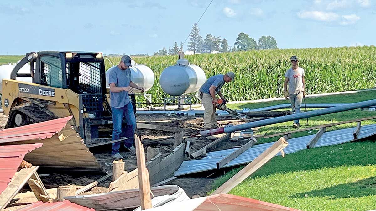 Storm damage clean up